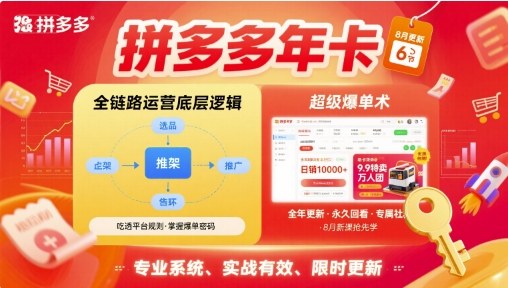 拼多多年卡【8月更新6节】拼多多全链路运营底层逻辑，超级爆单术-轻金阁