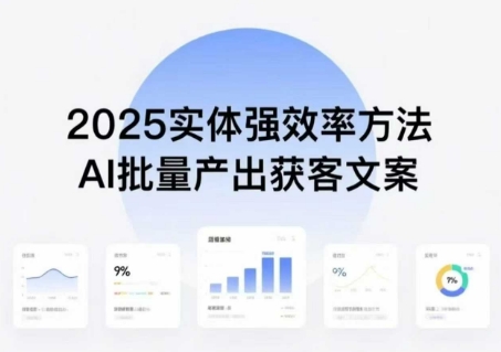实体强效率方法：AI批量产出获客文案，2025年普通人拥抱AI，实现实体创收-轻金阁
