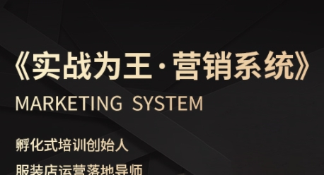 服装老板必修课《实战为王-营销系统》实现业绩被动式增长-轻金阁
