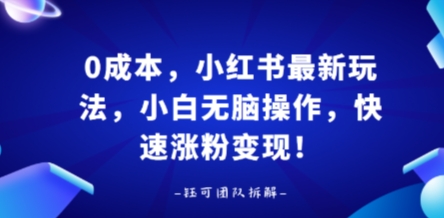 0成本，小红书最新玩法，小白无脑操作，快速涨粉变现-轻金阁