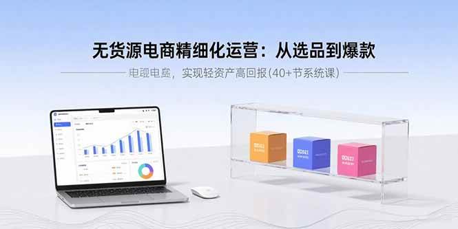 （15896期）无货源电商精细化运营：从选品到爆款，实现轻资产高回报(40+节系统课)-轻金阁