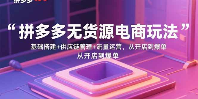 （15886期）拼多多无货源电商玩法：基础搭建+供应链管理+流量运营，从开店到爆单-轻金阁