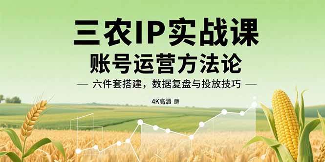 （15864期）三农IP实战课：账号运营方法论，六件套搭建，数据复盘与投放技巧-轻金阁