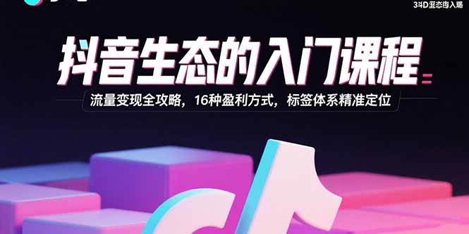 （15856期）抖音生态的入门课程：流量变现全攻略，16种盈利方式，标签体系精准定位-轻金阁