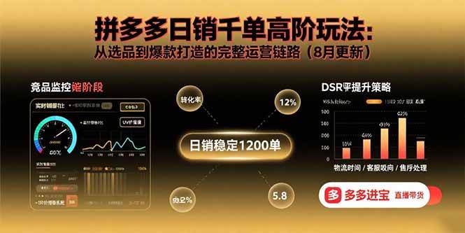 （15850期）拼多多日销千单高阶玩法：从选品到爆款打造的完整运营链路（8月更新）-轻金阁