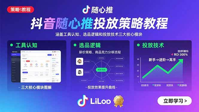 （15828期）抖音随心推投放策略教程：涵盖工具认知、选品逻辑和投放技术三大核心模块-轻金阁