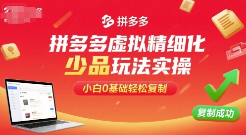 拼多多虚拟精细化少品玩法实操，小白0基础轻松复制-轻金阁