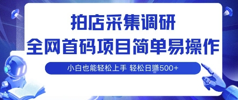拍店采集调研，全网首码项目，简单易操作， 小白也能轻松上手，多账号操作，轻松日入5张【揭秘】-轻金阁