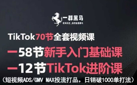 TikTok全套视频课，新手入门+进阶课，短视频ADS-GMV MAX投流打品，日销破1000单打法-轻金阁