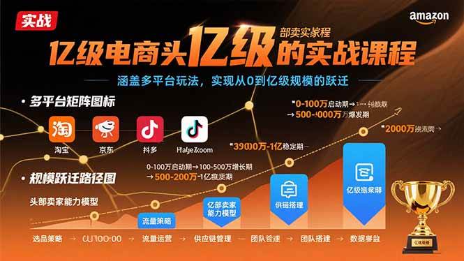 （15803期）亿级电商头部卖家的实战课程：涵盖多平台玩法，实现从0到亿级规模的跃迁-轻金阁