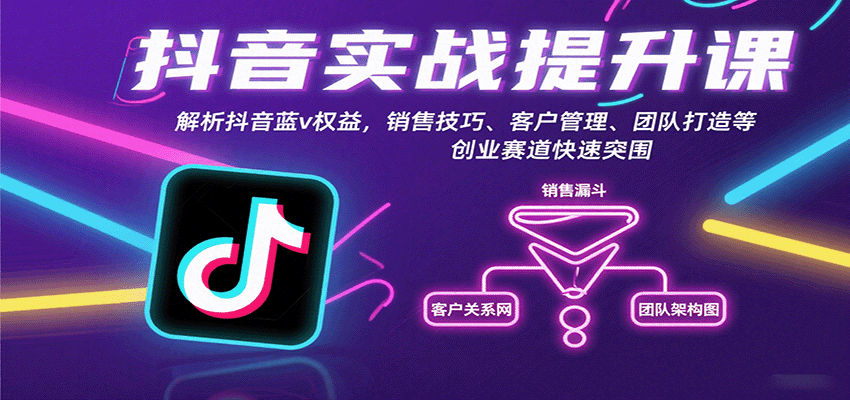 抖音实战提升课：解析抖音蓝v权益，销售技巧、客户管理、团队打造等创业赛道快速突围-轻金阁
