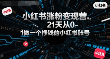 小红书涨粉变现营，21天从0-1做一个挣钱的小红书账号-轻金阁